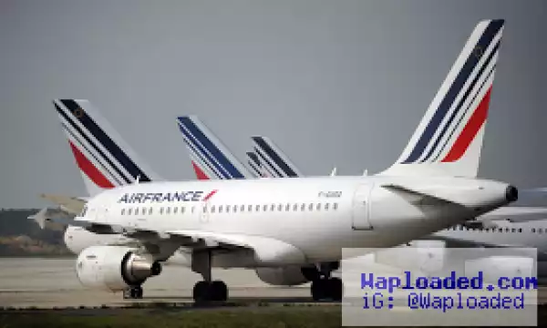 Woman hides 4 year old chld in bag on an Air France flight